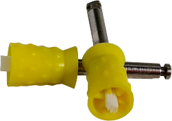 Buntes stehendes Prophybecher für zahnärztlichen Bereiche